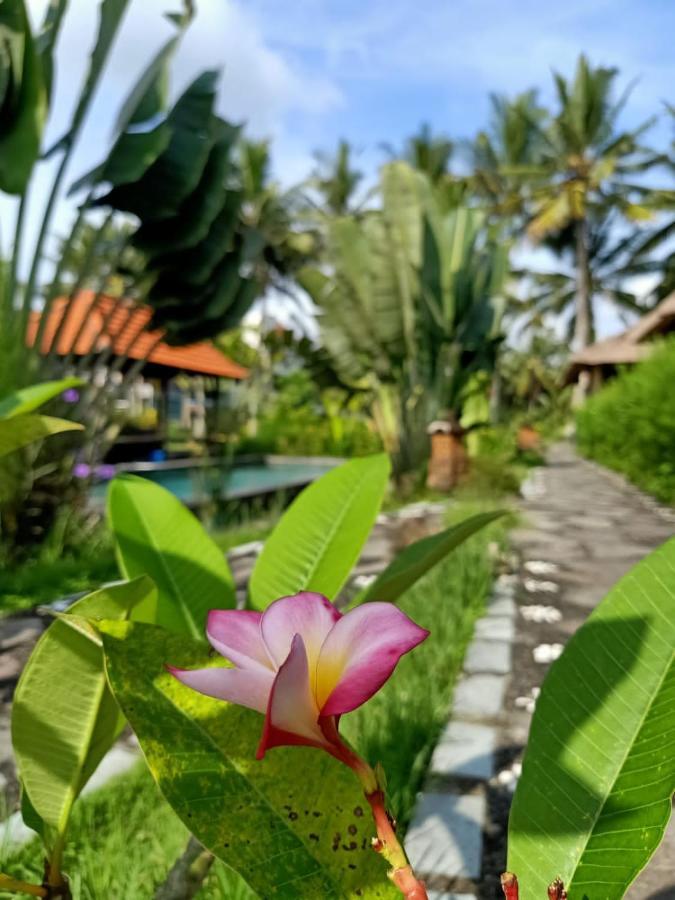 Taman Bintang Villa Ubud Esterno foto